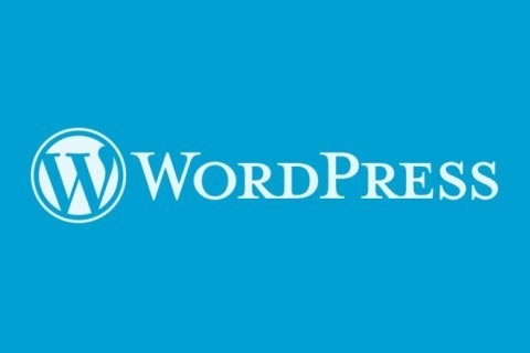WordPress  发现 XSS 漏洞 – 建议更新至 6.5.2版本-淇云博客-专注于IT技术分享