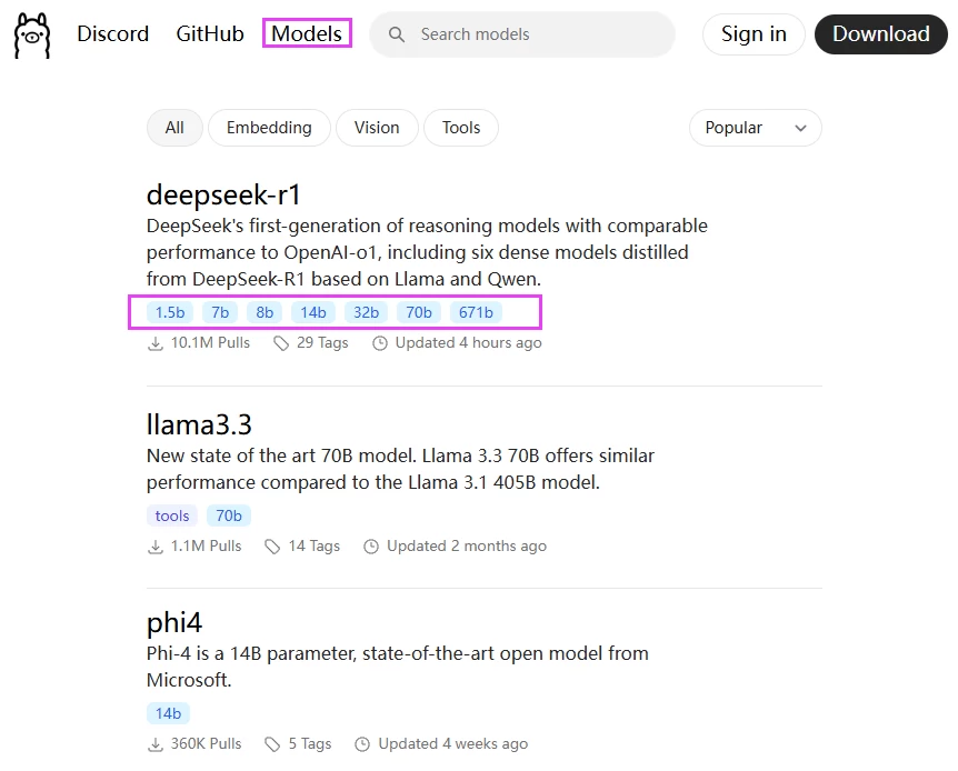 本地部署 DeepSeek 大模型教程插图5