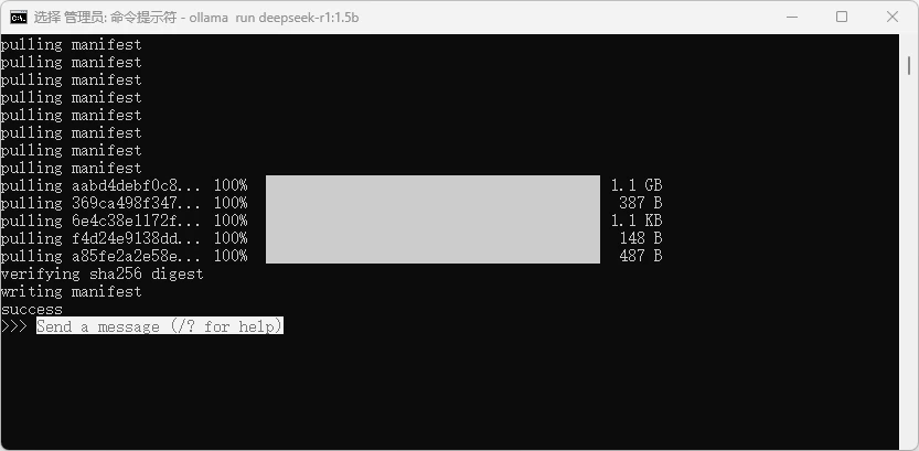 本地部署 DeepSeek 大模型教程插图10