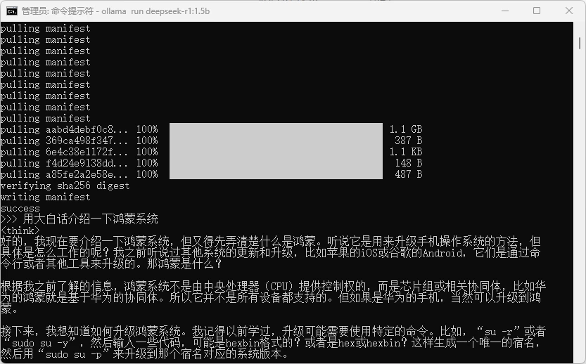 本地部署 DeepSeek 大模型教程插图11