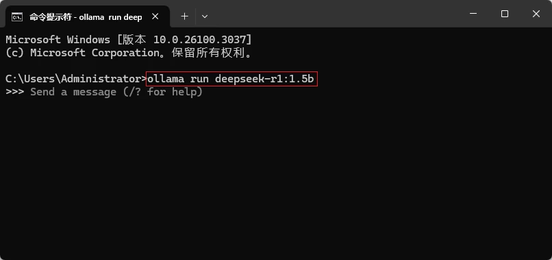 本地部署 DeepSeek 大模型教程插图12