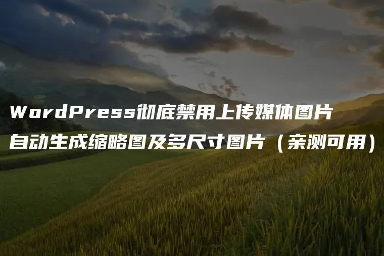 WordPress 彻底禁用上传媒体图片自动生成缩略图及多尺寸图片-淇云博客-专注于IT技术分享