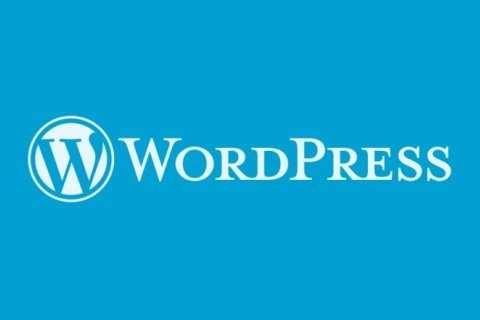 WordPress 发现 XSS 漏洞 – 建议更新至 6.5.2版本-淇云博客-专注于IT技术分享